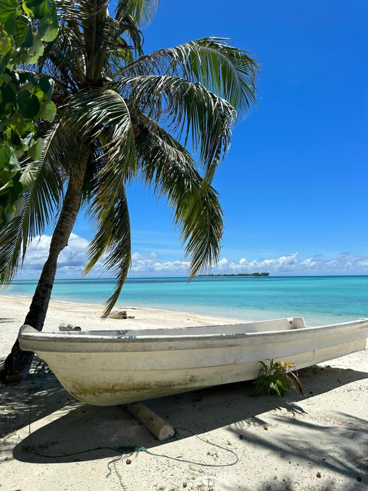Palambak Paradise Resort Pulau Banyak Pulau Palambakbesar 外观 照片